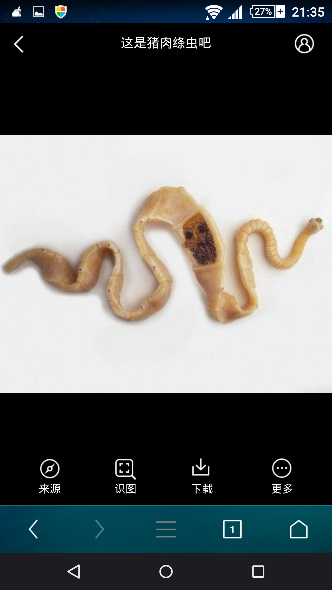 烧烤摊的猪鞭是那里来的是不是真的如果不是又是拿什么来做的