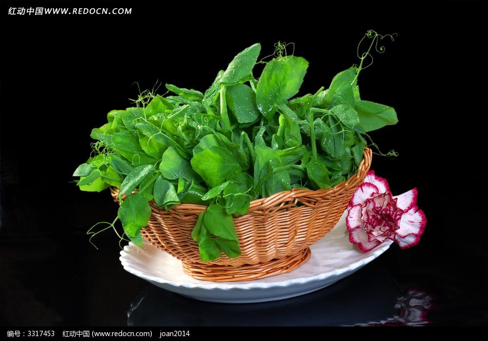 有哪些家乡很常见但外地没有的蔬菜呢? - 我是