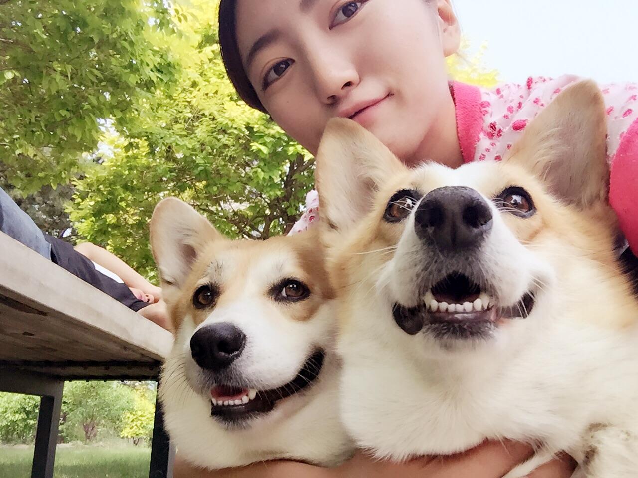 如何优雅地与宠物合照