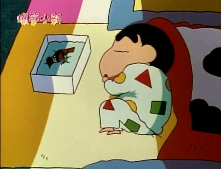 野原新之助哭过没哪一集为什么哭