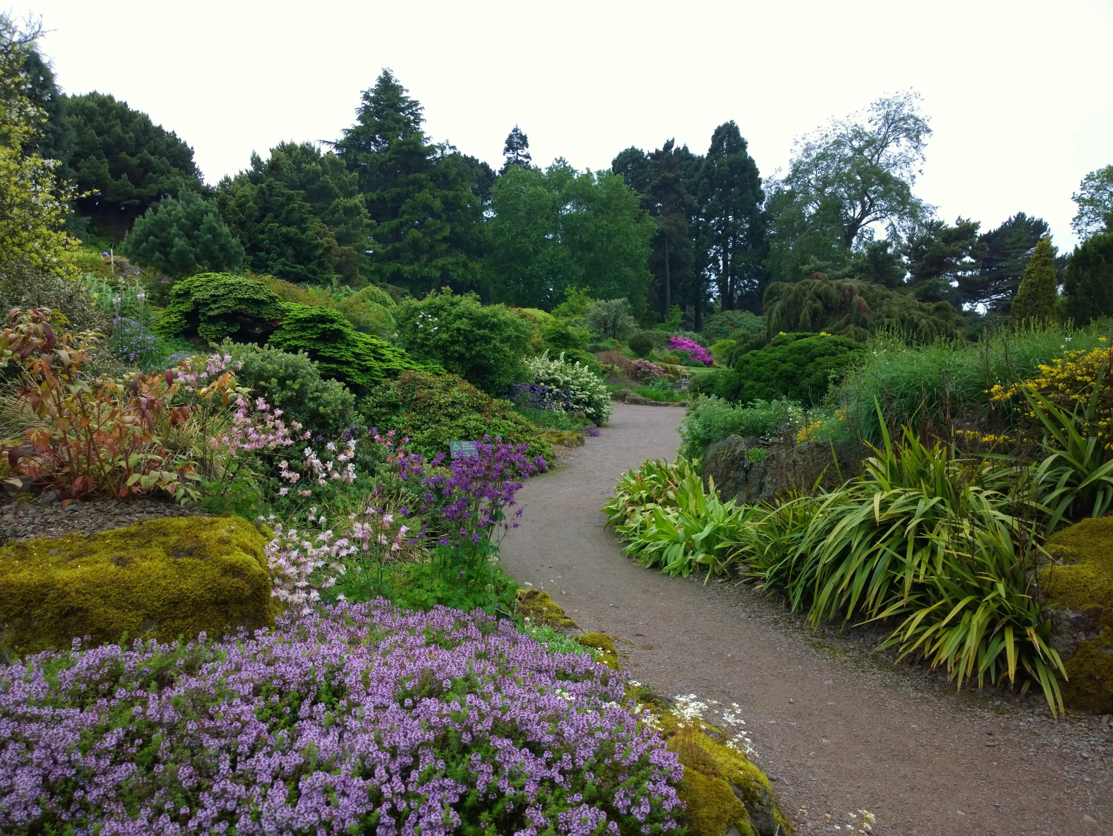 Gardens of Britain丨生机勃勃的英式花境，植物丰富多彩_哔哩哔哩_bilibili