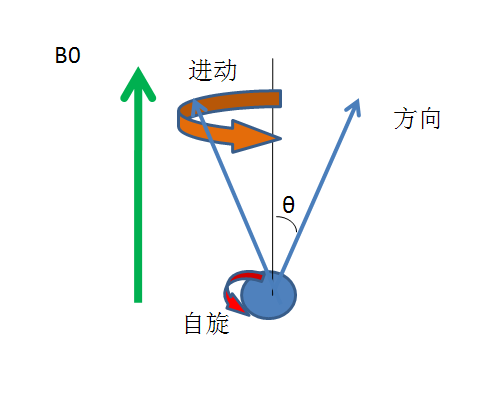 核磁共振中置于存在外磁场时质子的进动到底是怎么回事