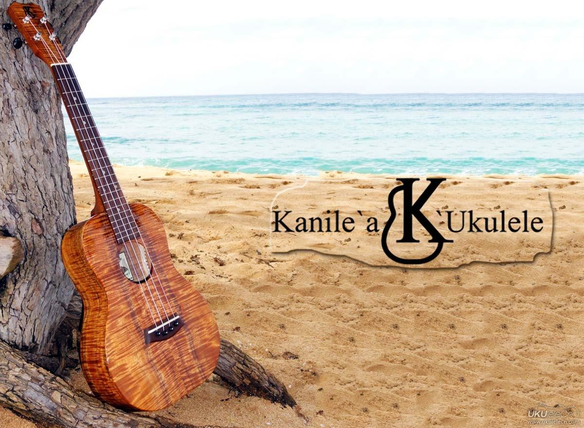 鸦哥带你入ukulele坑：小U也可以土豪（1） - 知乎