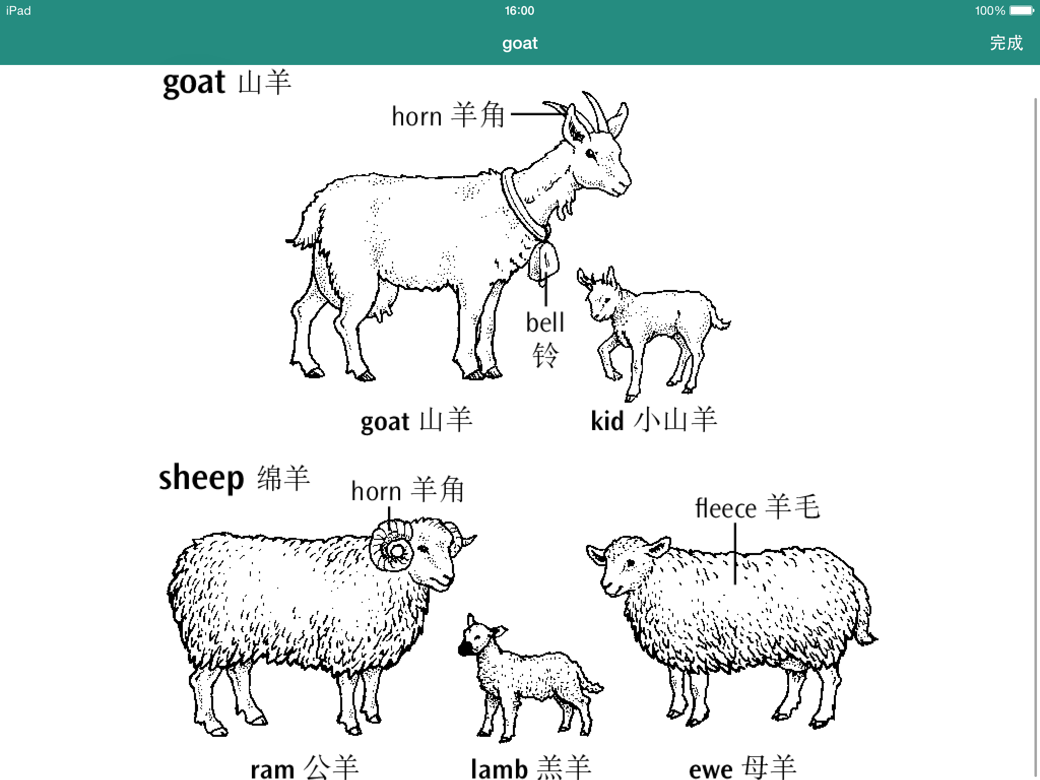 英语中表示羊的词有很多…那要说世界上有很多种羊 sheep goat ram都