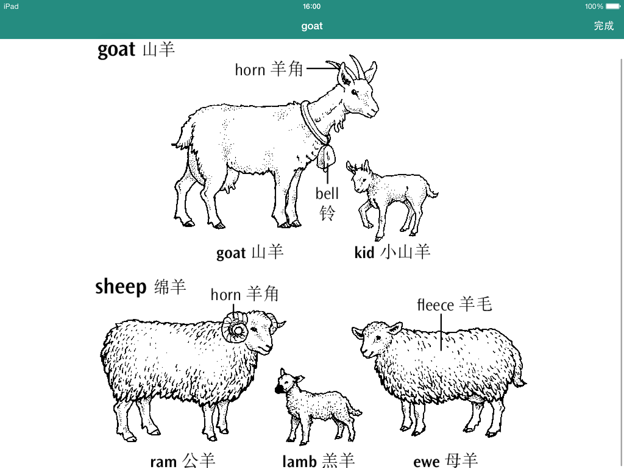 英语中表示羊的词有很多那要说世界上有很多种羊sheepgoatram都要说嘛