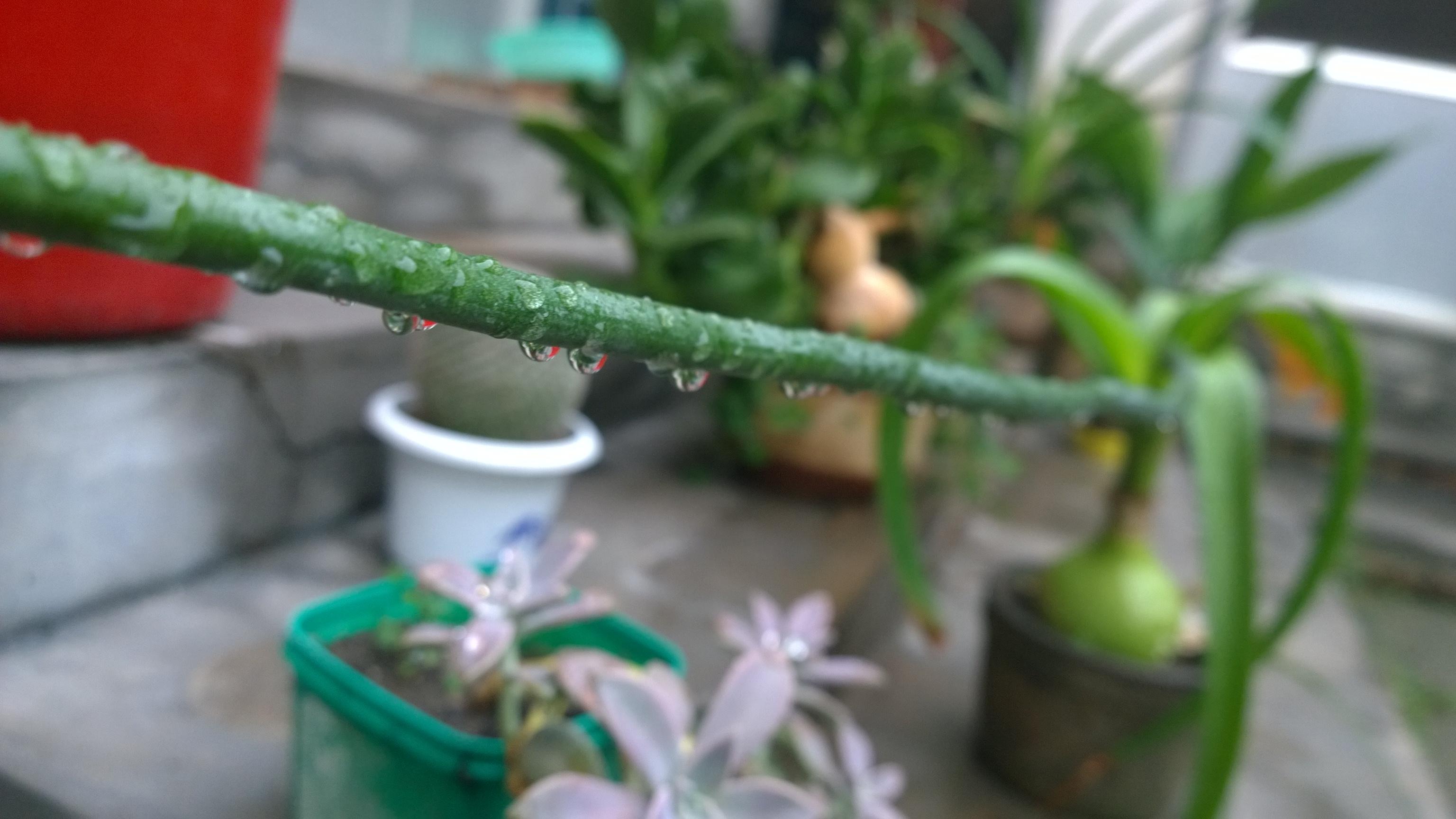 谁知道苹果、三星、HTC、华为、联想哪部手机