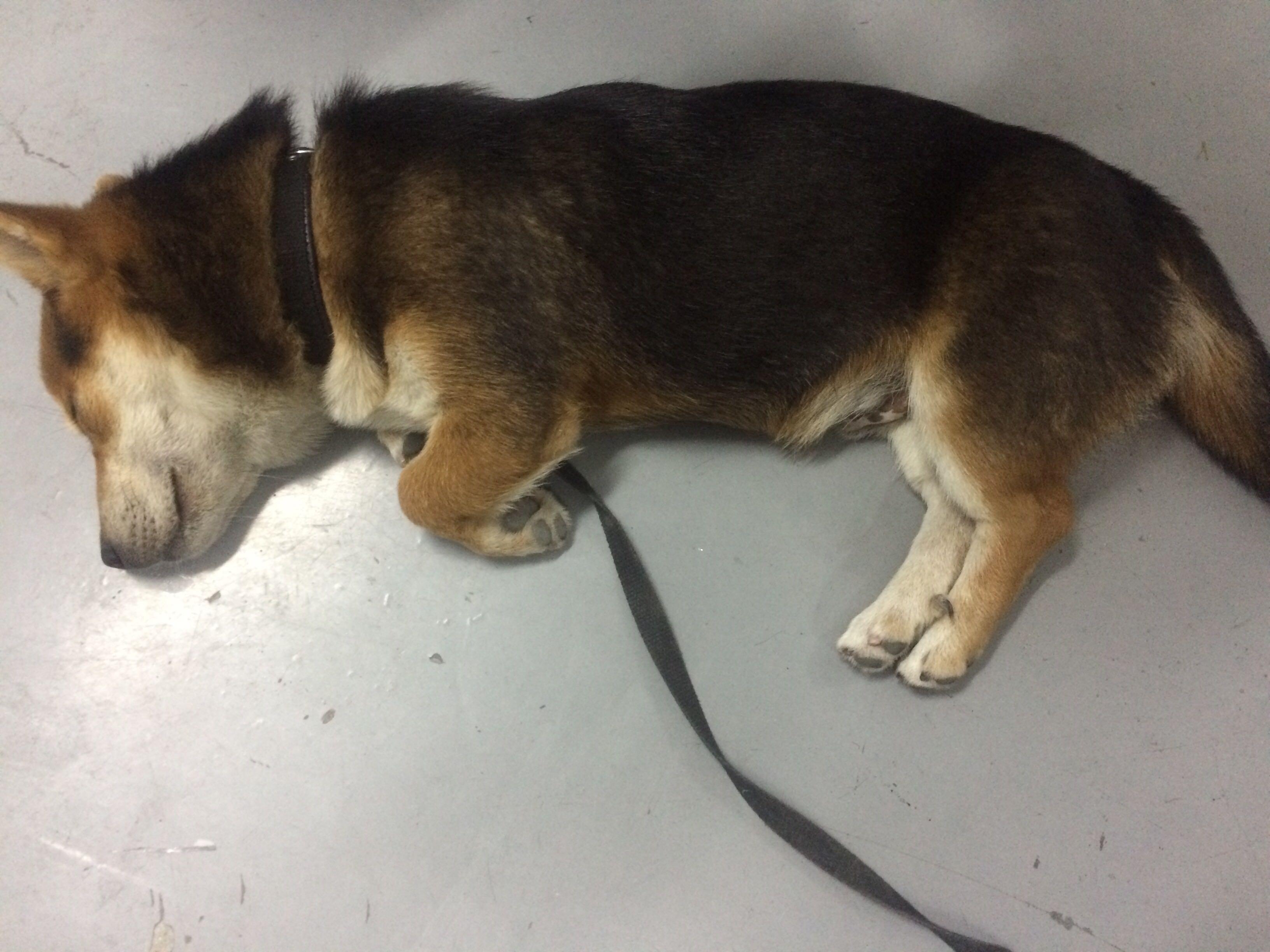 一个对我一见钟情的男生聊了几天突然不理我了