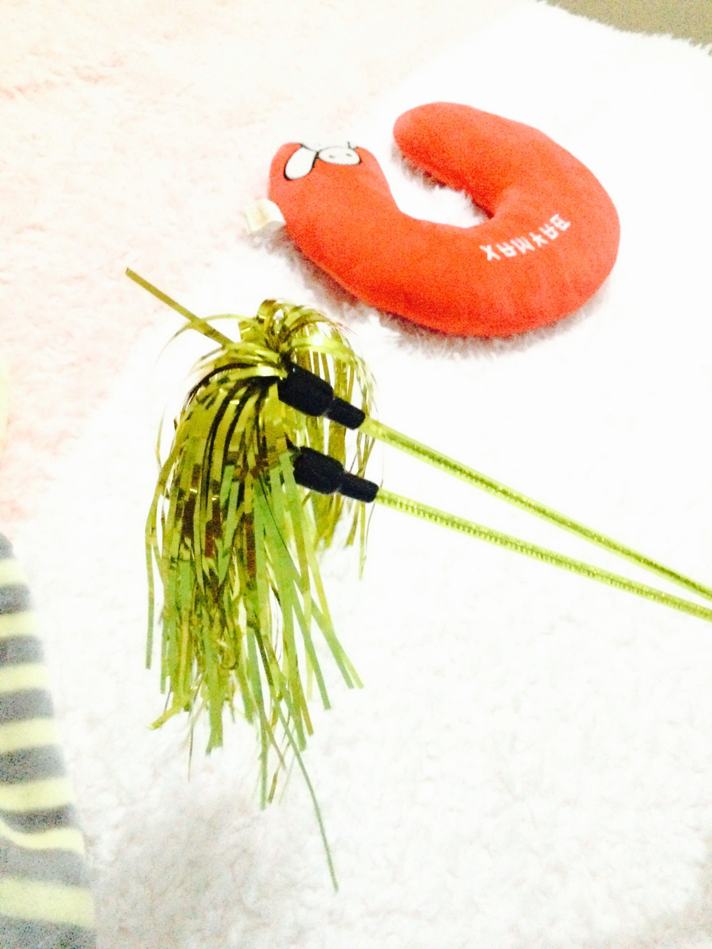 为什么我家的猫吃奇怪的东西? - 猫奴 - 知乎