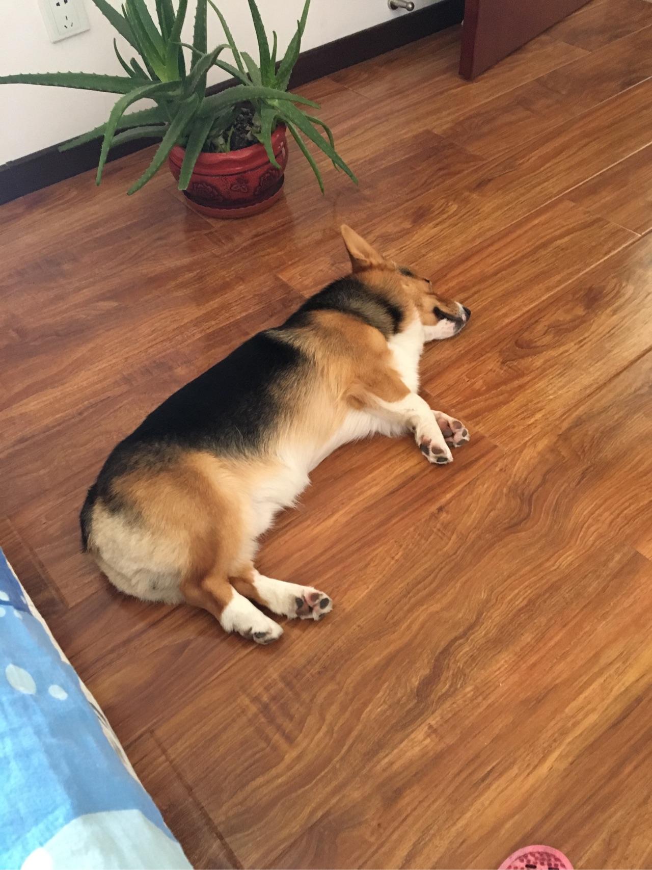 那些早上起来做饭、跑步、冲澡后去上班的人都