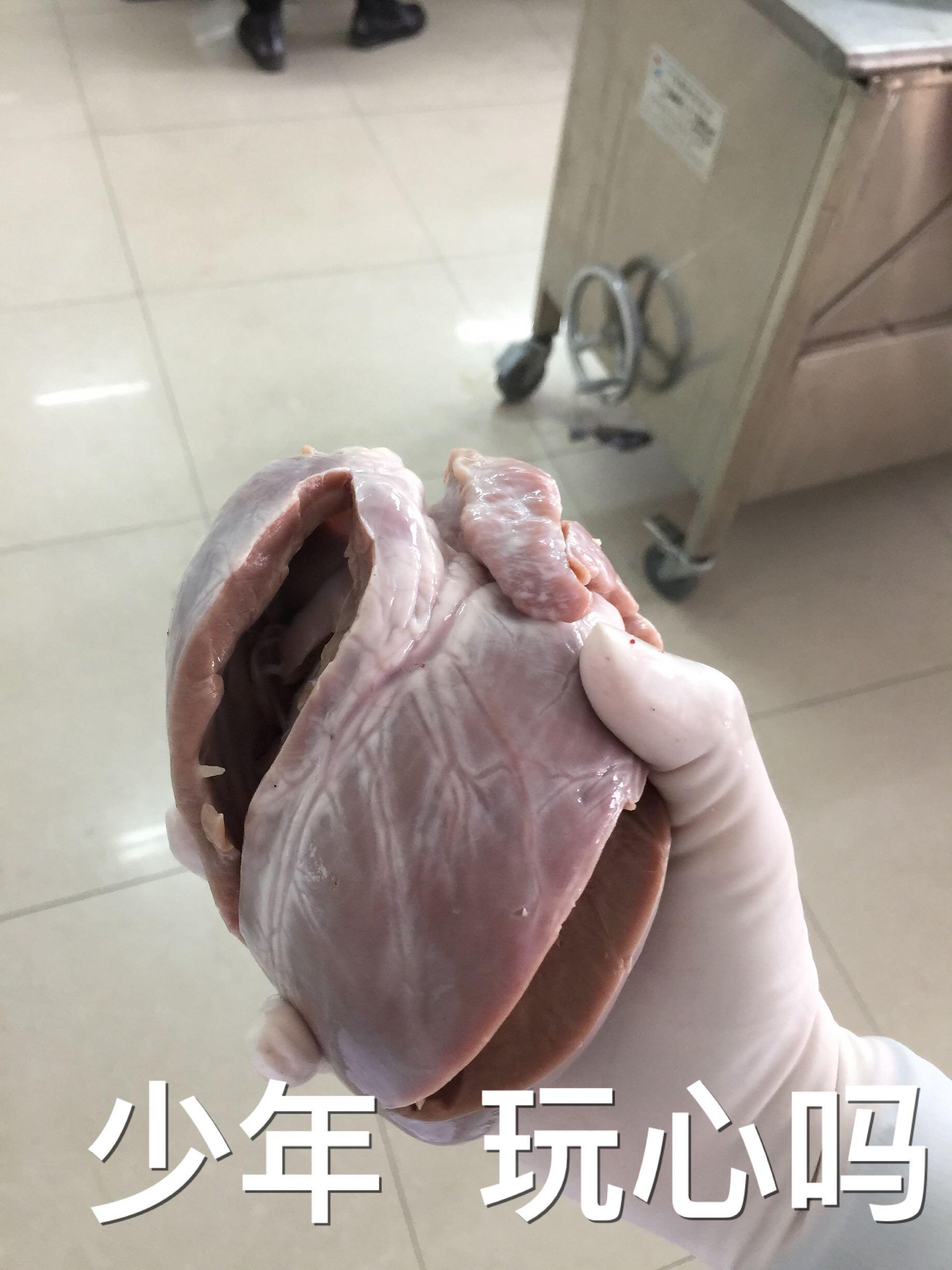 怎么看待知乎里明明不懂却自以为是酸题主的现