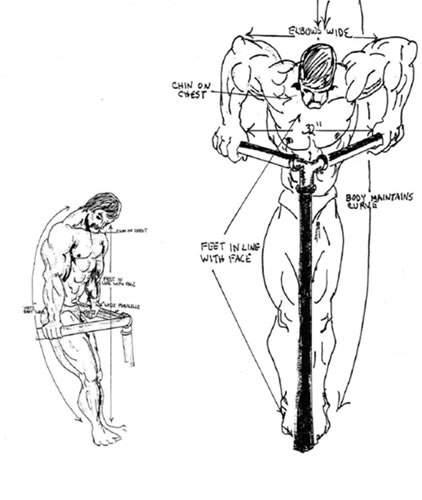 只练双杠臂屈伸最终可能成型什么样的胸肌