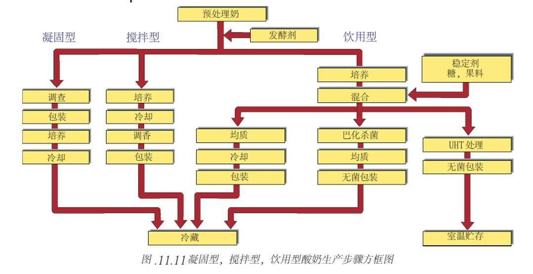 牛奶的前世今生2酸奶