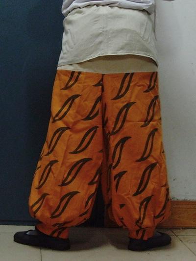 "颜师古日:"使令,所使之人也,绔古袴字也,穷绔,郎今(唐)字绲裆袴乎.