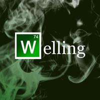 Zhihu profile picture for @welling