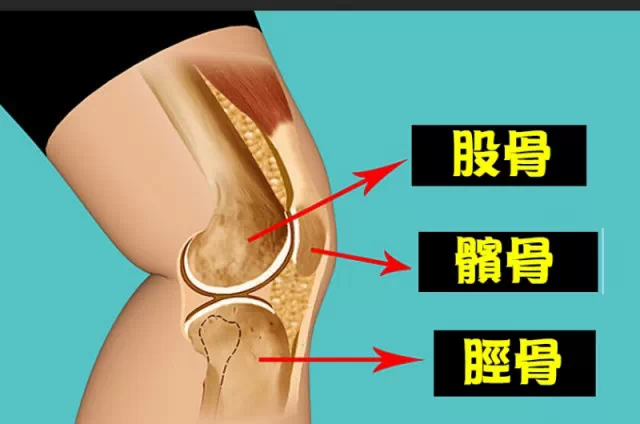 膝盖有什么好的保养和恢复方法? - 李宏涛的回