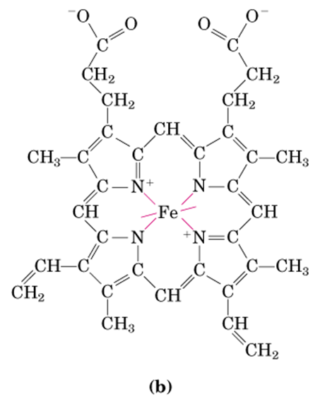 血红蛋白血红素里面的亚铁和氧气结合的时候不会被氧化成三价铁吗？