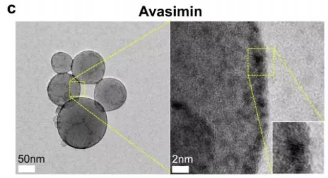 阿伐麥布(avasimibe)的透射電鏡圖像,圖片來自lee et al.