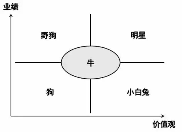 很多老板也不知道该如何对待「小白兔」,就是跟你兢兢业业干了很多年