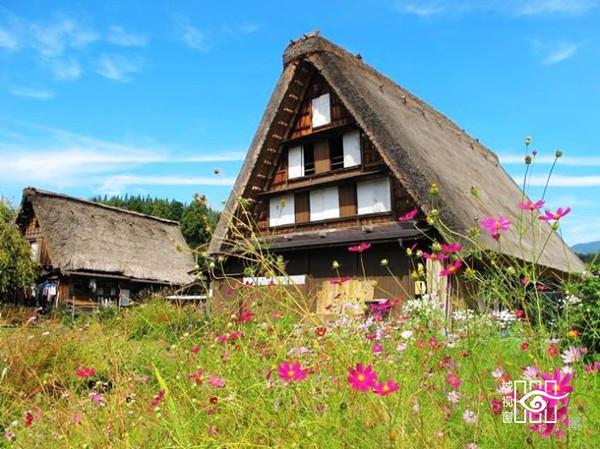 不用一顆釘子的日本非遺建築文化|日本白川鄉