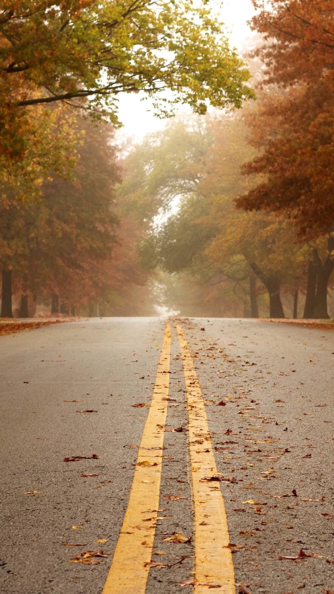 拍风景如何拍出忧伤的感觉