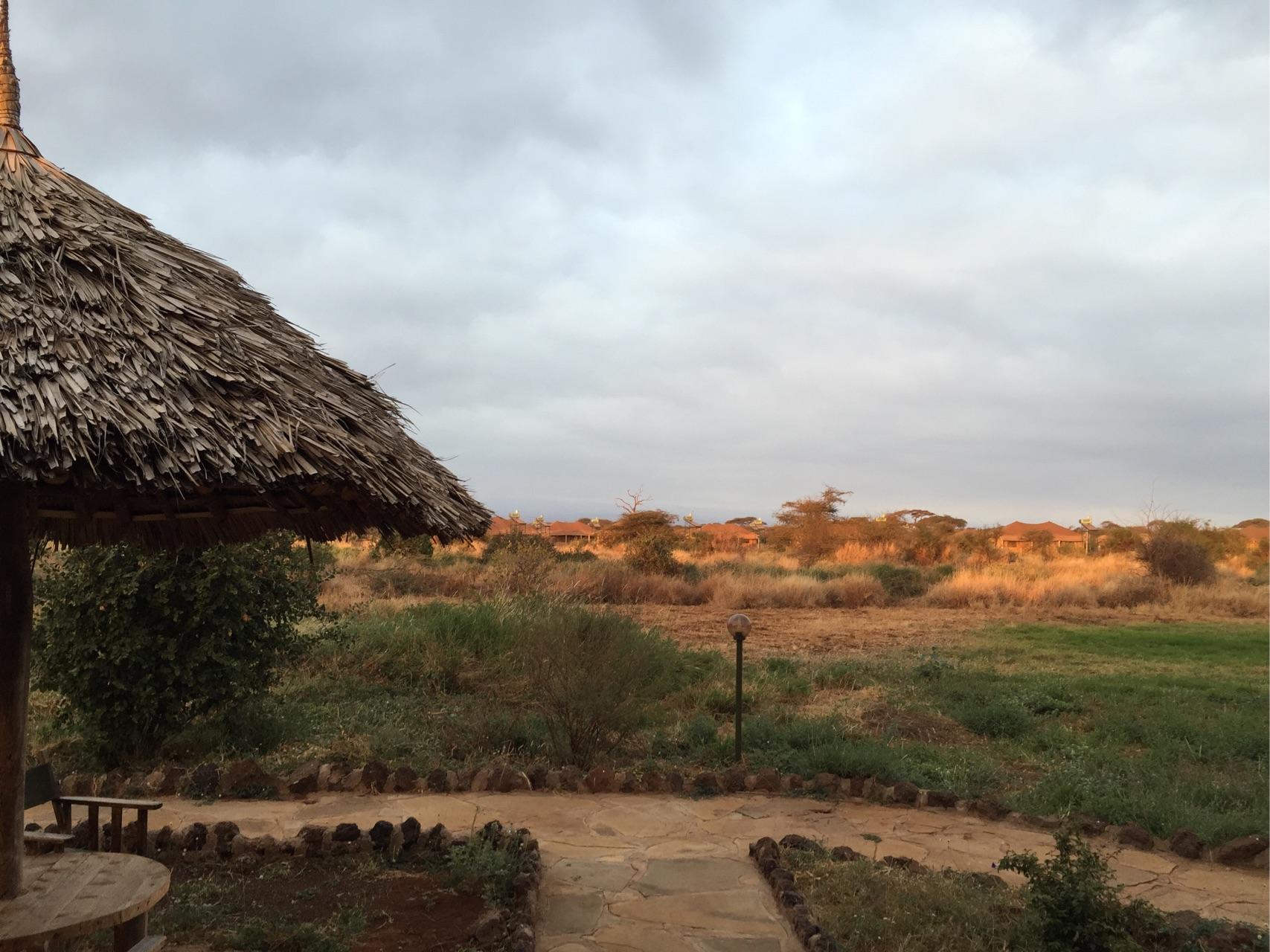 去肯尼亚旅行是一种什么体验?