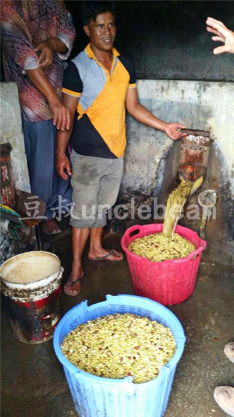 苏门答腊湿刨法是什么