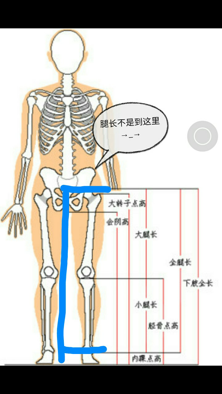 腿特别长的女生是怎么一种体验? 