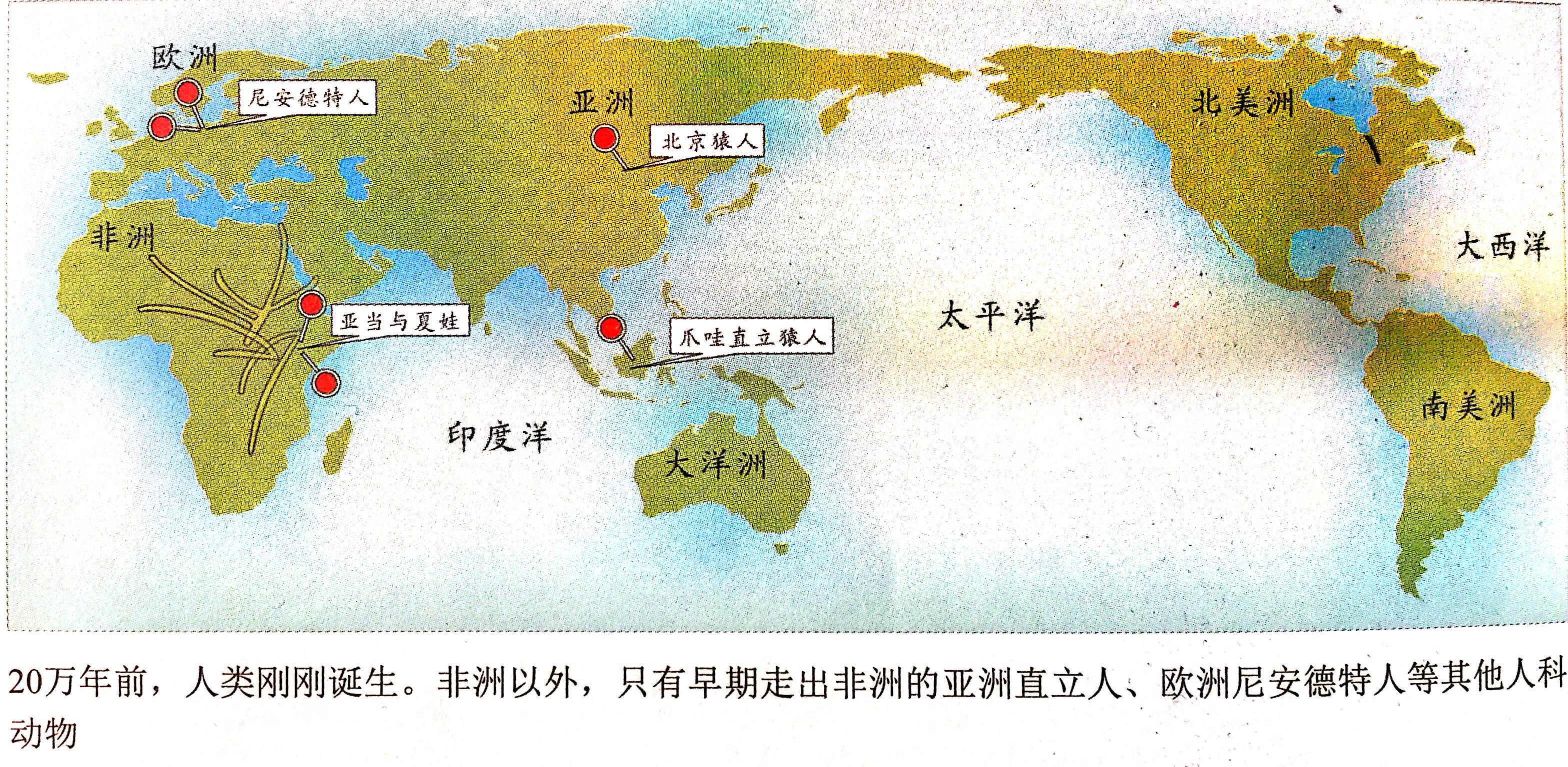 人类都起源自非洲吗