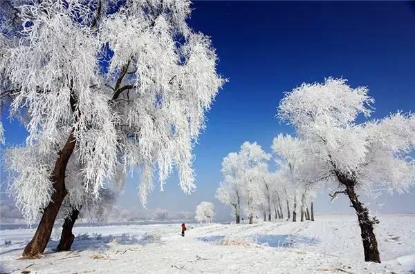 全国最著名的10大雪景观赏地是哪里 知乎