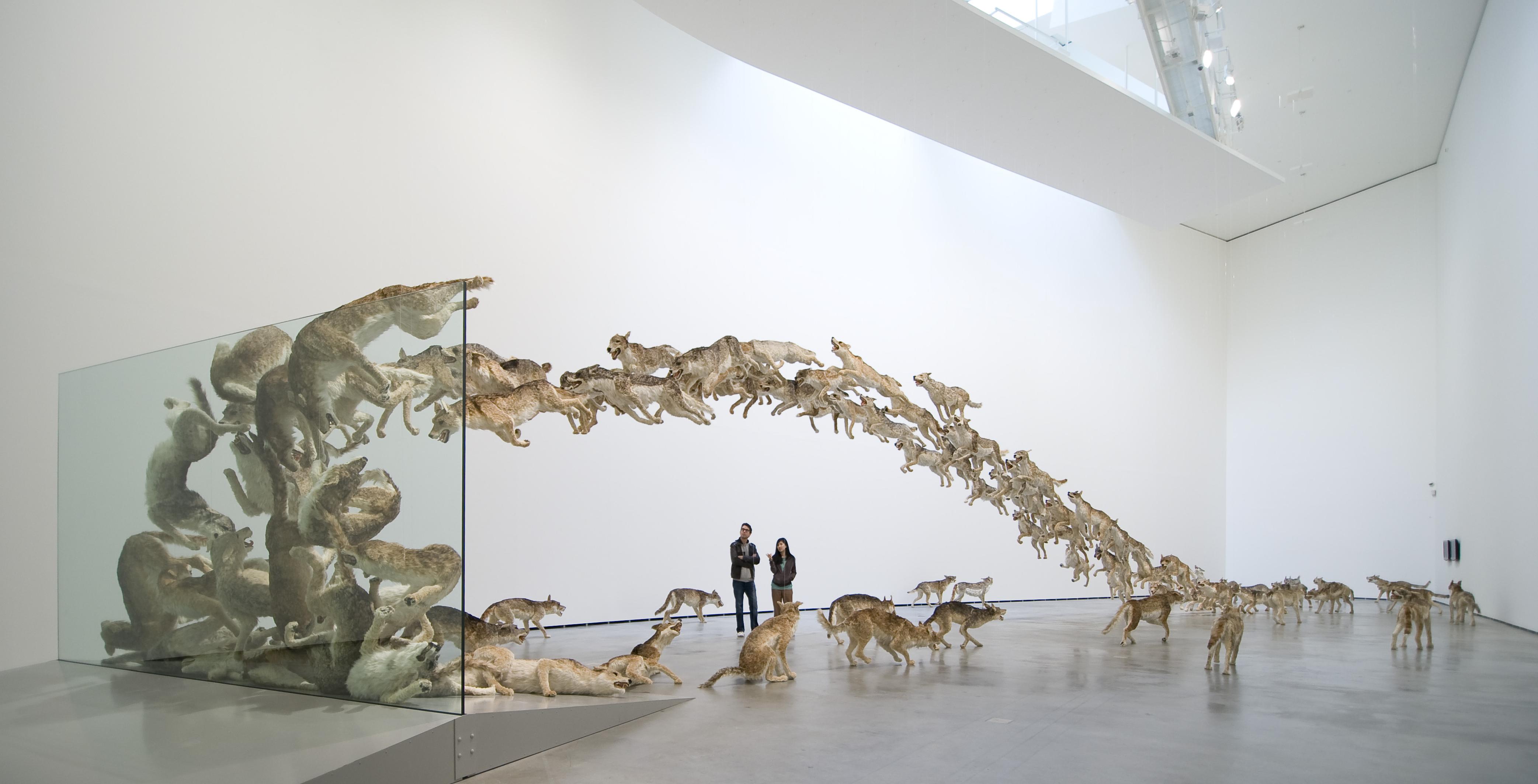 当代装置艺术有哪些流派?各有哪些代表作? - 知乎