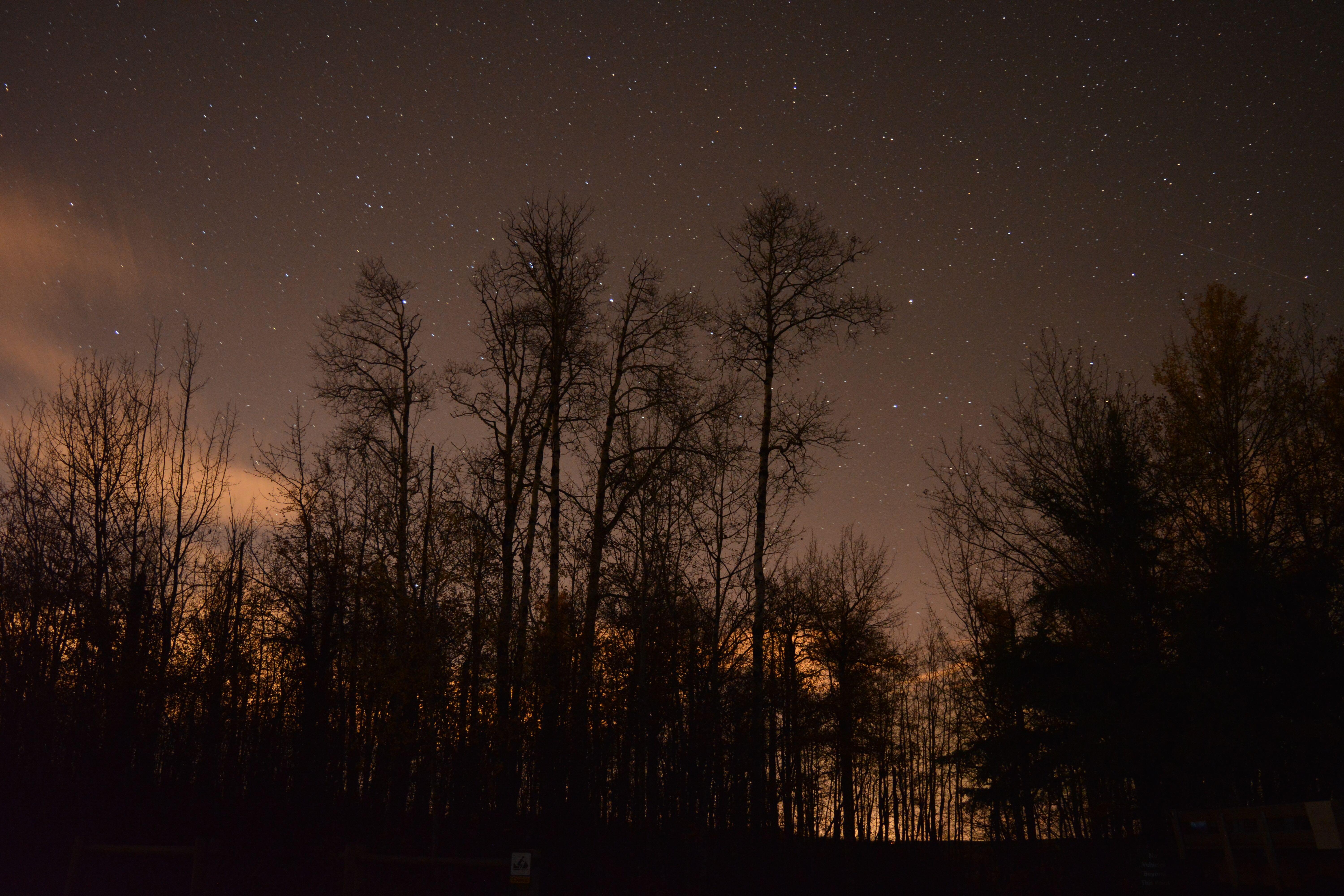 打算拍星空 平时拍风景 尼康d750如何配镜头 预