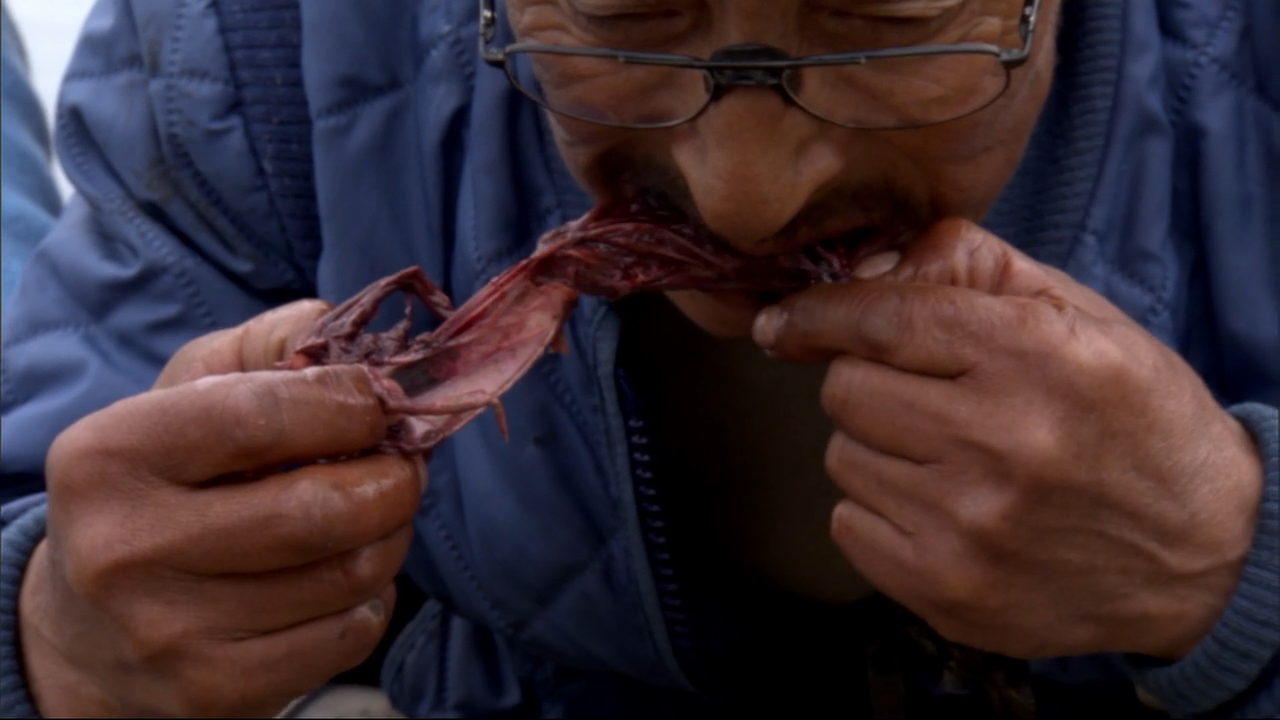 某个纪录片中讲述因纽特人拿网兜捕鸟的有谁知道这个纪录片的名字