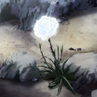 Zhihu profile picture for @downfall