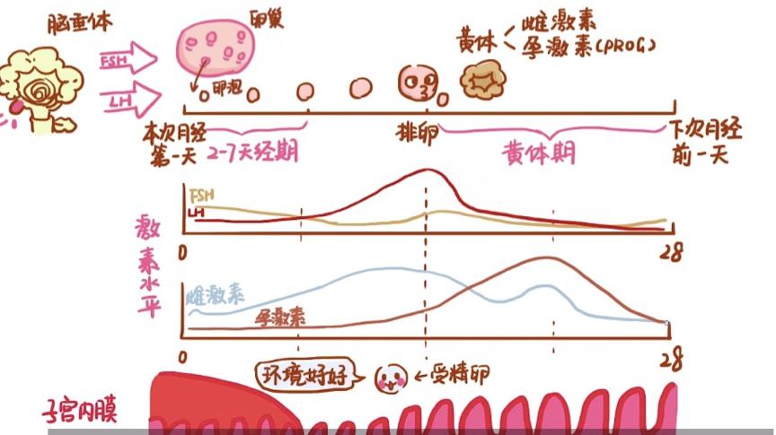 这个最好的备孕方法，大部分人却还不知道 知乎