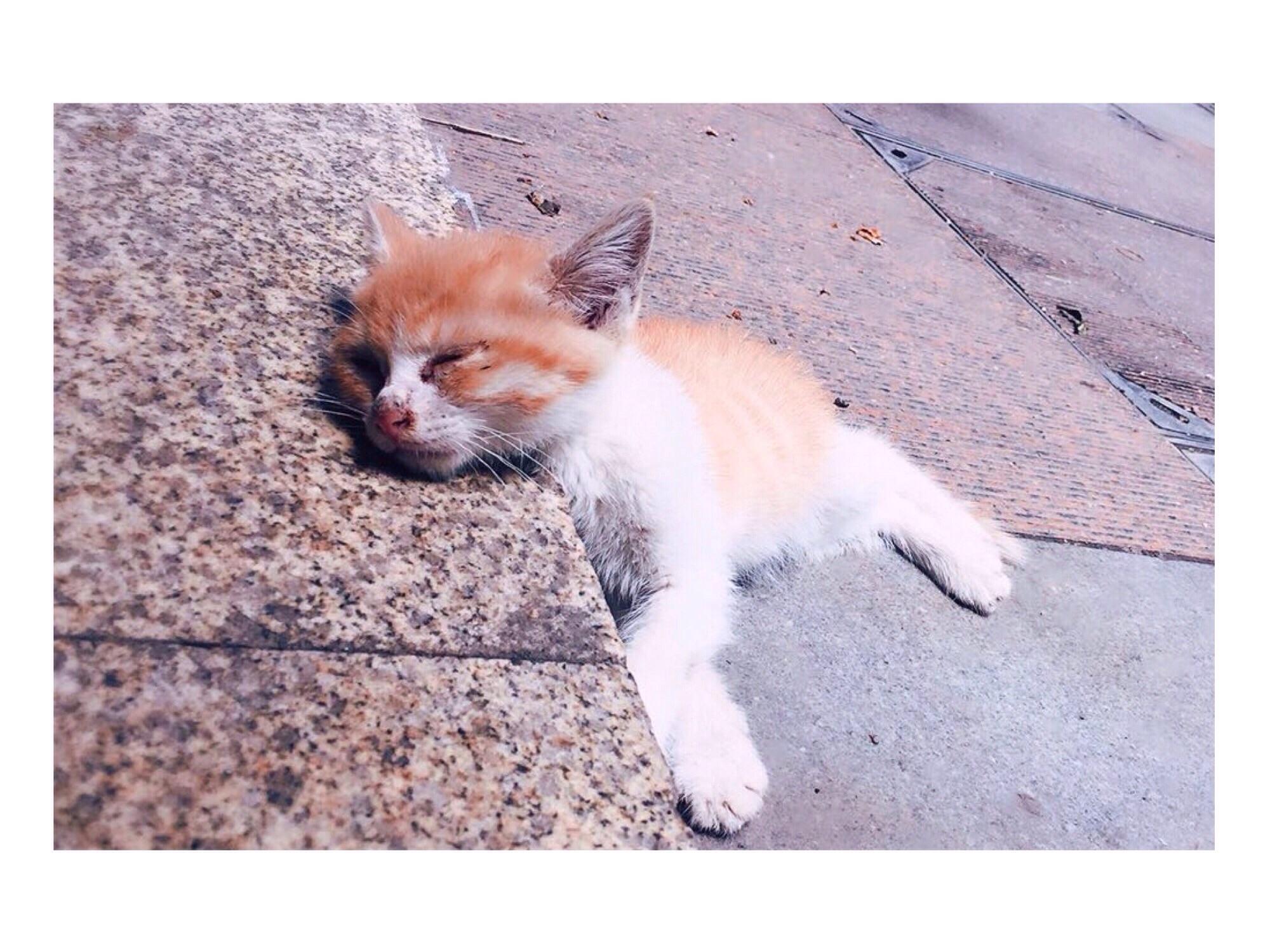 什么是爱?爱一个人是什么感觉? - 柒晓的回答