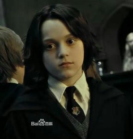 《哈利·波特》中的人物颜值排名是怎样的?