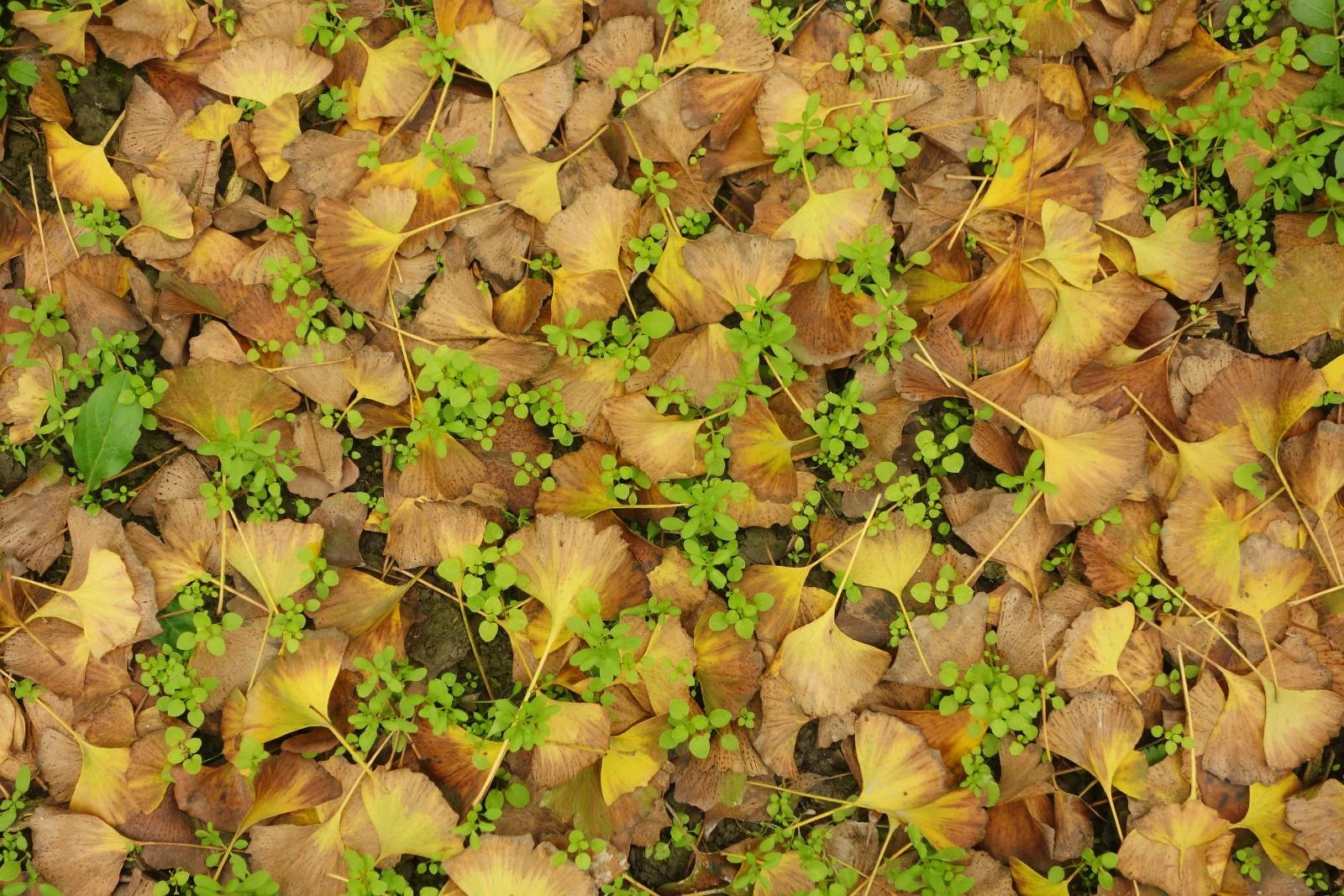 学生如何选购一台不太贵但是好用的单反呢? -