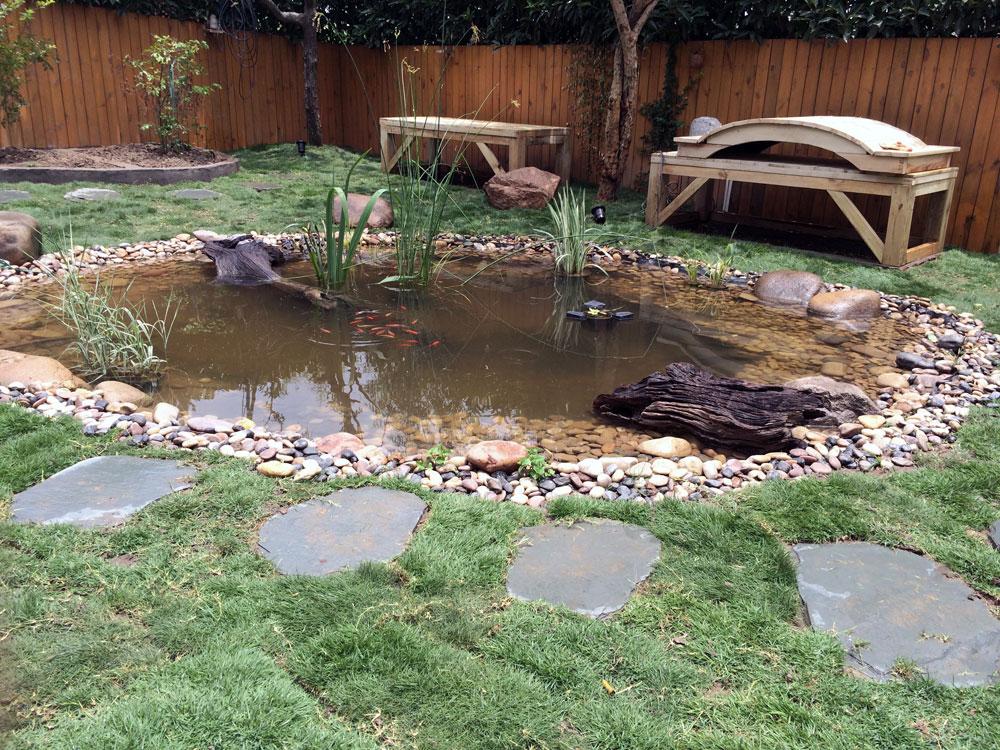 自建池塘美化庭院家庭自建小池塘指南