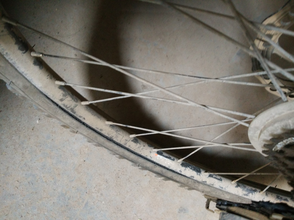 自行车胎好像有问题,骑的时候后轮有轻微但可