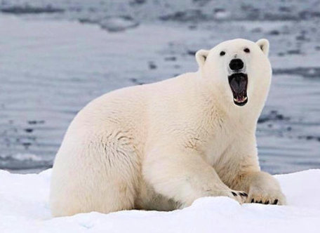 对于没有明显特长优势的小孩,应该怎样培养呢