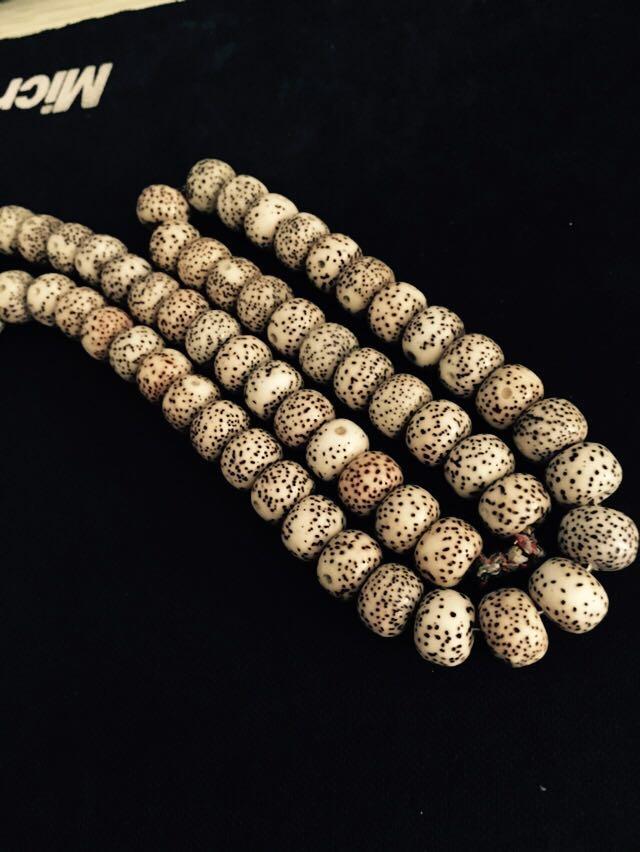 自玩星月 - 知乎