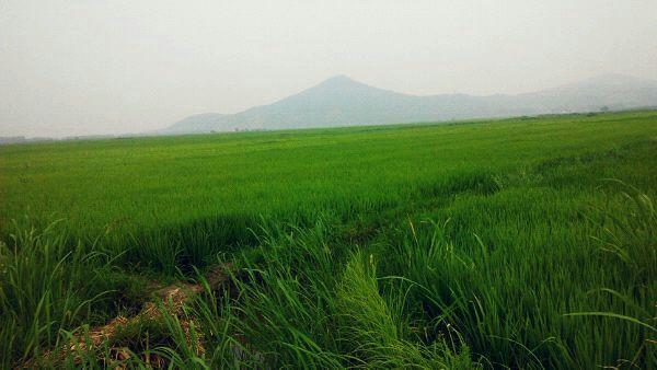 被985\/211大学劝退后,重新参加高考是怎样的体