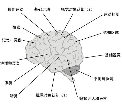 知乎专栏 关于自闭症儿童的系列文章 北美生活网