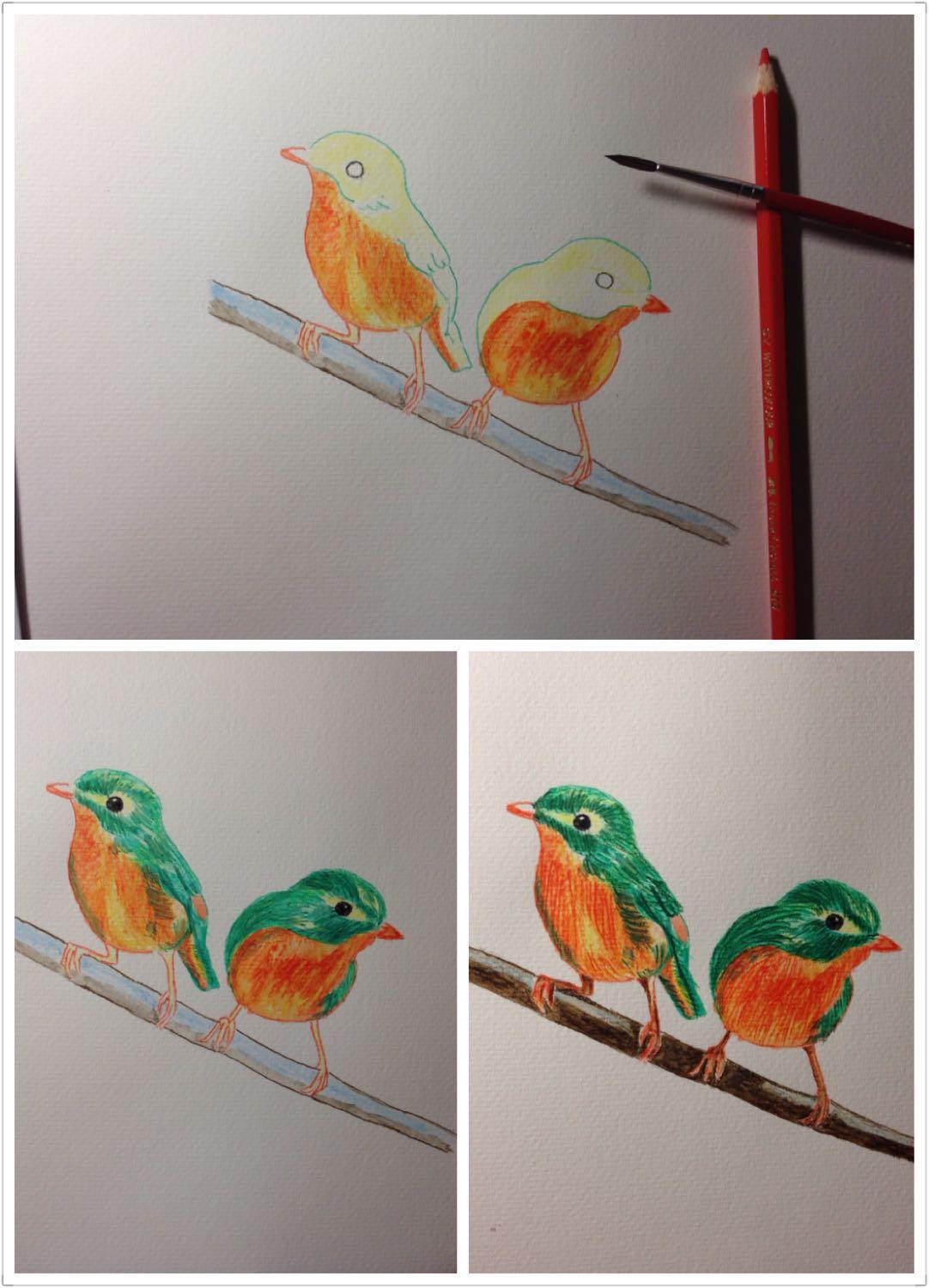 零基础怎么开始练习水溶性彩色铅笔的绘画