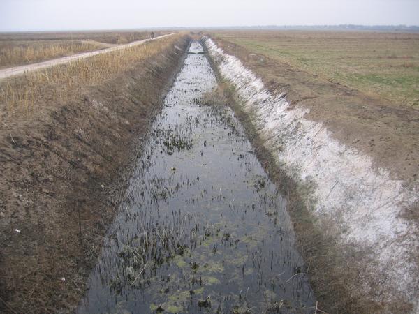 什么是"土壤盐碱化"?_初中版