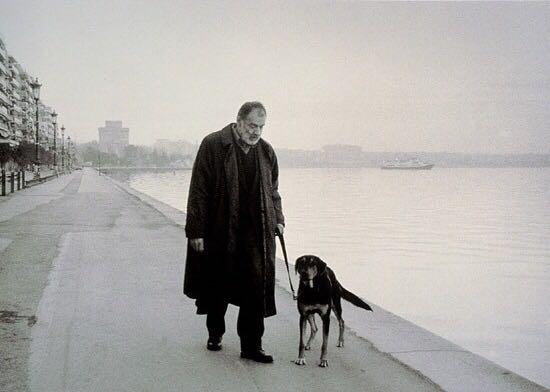 有什么好看的电影?