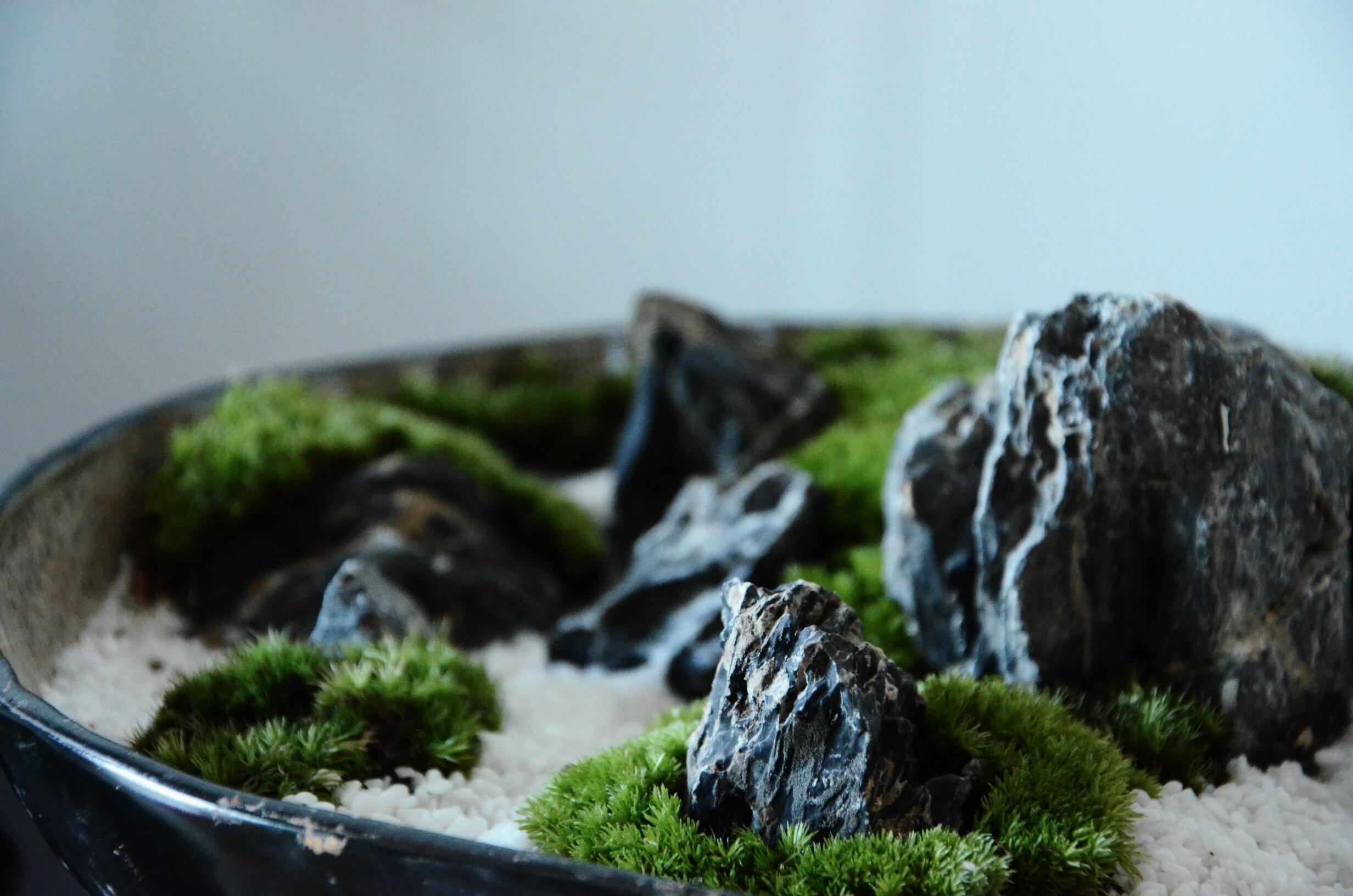 如果利用日本枯山水的元素,做现下流行的微景观,有没有创业的空间?