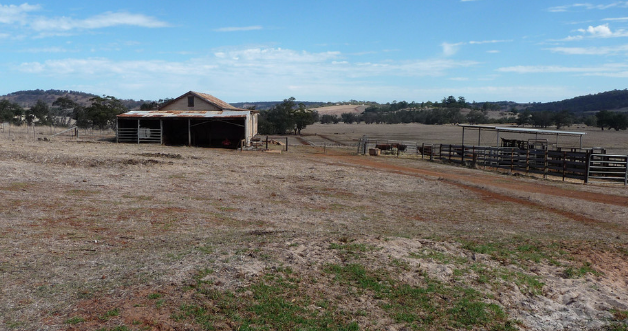 为什么,西欧北欧,美加,澳纽等地的农村看上去总