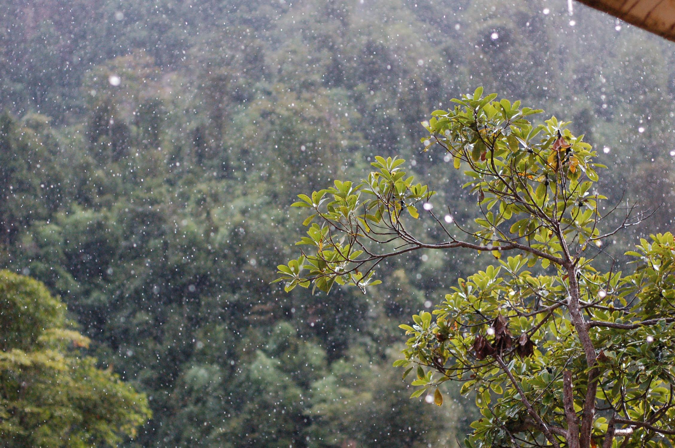 摄影怎样才能拍出下雨时的雨帘