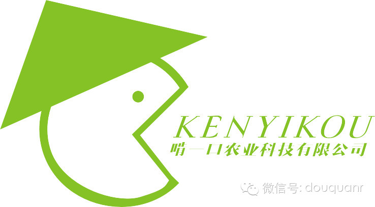 大学生开网店如何月入过万?